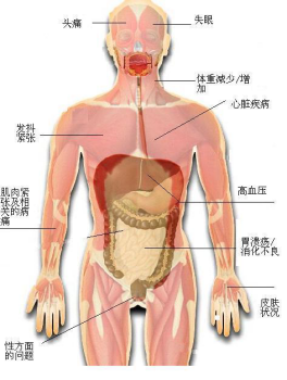 5、郭敬峰老师授课《与情绪压力共舞》.png